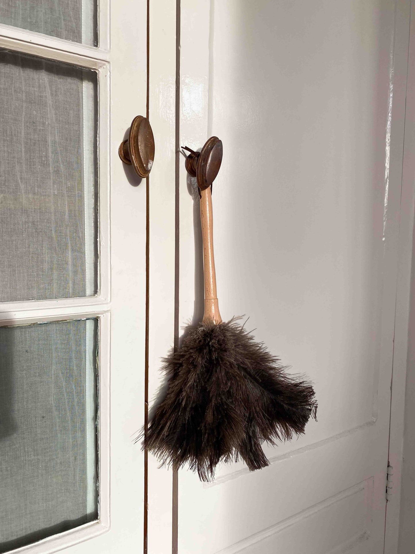 Feather duster ostrich feathers